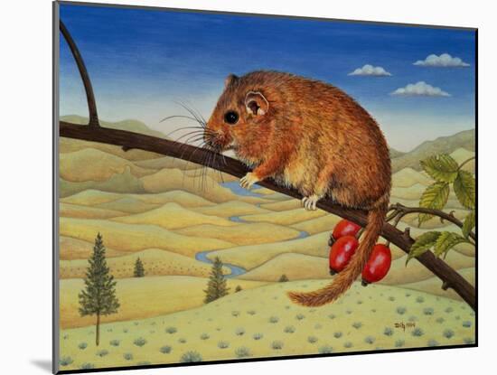 Dormouse Number Two, 1994-Ditz-Mounted Giclee Print