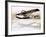 Dornier Wal, Twin-Engined German Flying Boat-null-Framed Giclee Print