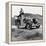 Dorothea Lange in California-null-Framed Stretched Canvas