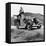 Dorothea Lange in California-null-Framed Stretched Canvas