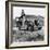 Dorothea Lange in California-null-Framed Photo