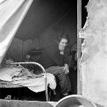 Filipinos Cutting Lettuce, Salinas, California, 1935-Dorothea Lange-Photo