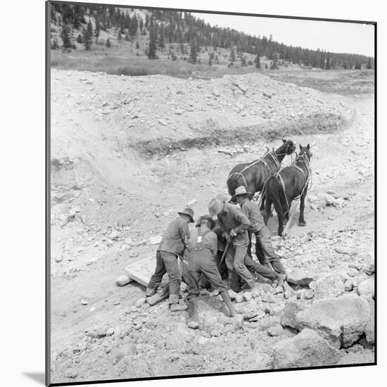 Photographic Print, , large
