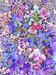 Pink and Blue Fusion-Dorothy Berry-Lound-Giclee Print