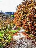 Tuscan Countryside In Autumn-Dorothy Berry-Lound-Giclee Print