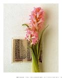 Tulip, Euro-Floral-Dorothy Gaubert Pyle-Art Print