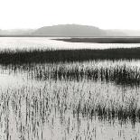 Nut Island, Salt Marsh-Dorothy Kerper Monnelly-Art Print