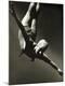 Premium Photographic Print