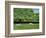 Dorset Parkland, 2007-Liz Wright-Framed Giclee Print