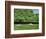 Dorset Parkland, 2007-Liz Wright-Framed Giclee Print