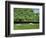 Dorset Parkland, 2007-Liz Wright-Framed Giclee Print