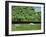 Dorset Parkland, 2007-Liz Wright-Framed Giclee Print