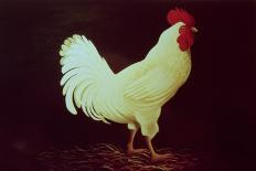 Speckled Rooster-Dory Coffee-Giclee Print