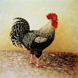 Speckled Rooster-Dory Coffee-Premier Image Canvas