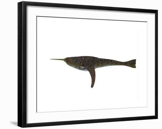 Doryaspis Jawless Fish from the Devonian Period-Stocktrek Images-Framed Art Print