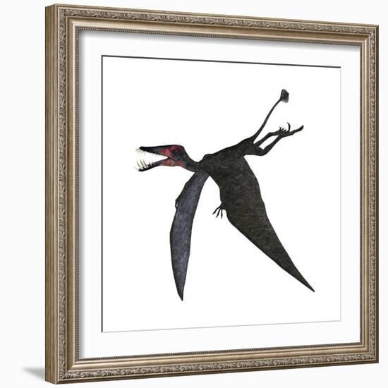 Dorygnathus, a Genus of Pterosaur from the Jurassic Period-null-Framed Premium Giclee Print