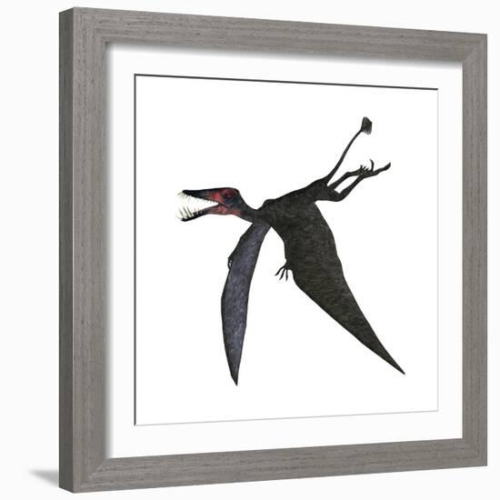 Dorygnathus, a Genus of Pterosaur from the Jurassic Period-null-Framed Premium Giclee Print