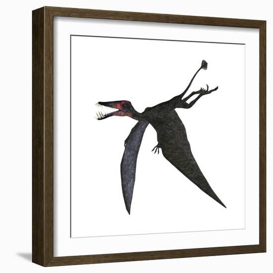 Dorygnathus, a Genus of Pterosaur from the Jurassic Period-null-Framed Premium Giclee Print