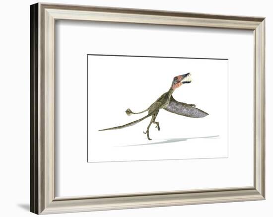 Dorygnathus Dinosaur, Artwork-null-Framed Photographic Print