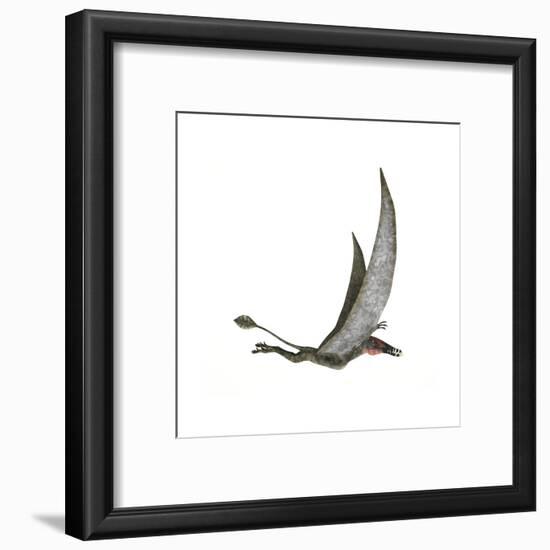 Dorygnathus Flying Dinosaur-null-Framed Art Print