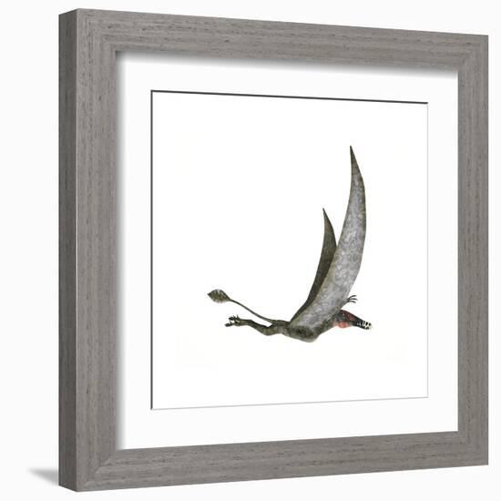 Dorygnathus Flying Dinosaur-null-Framed Art Print