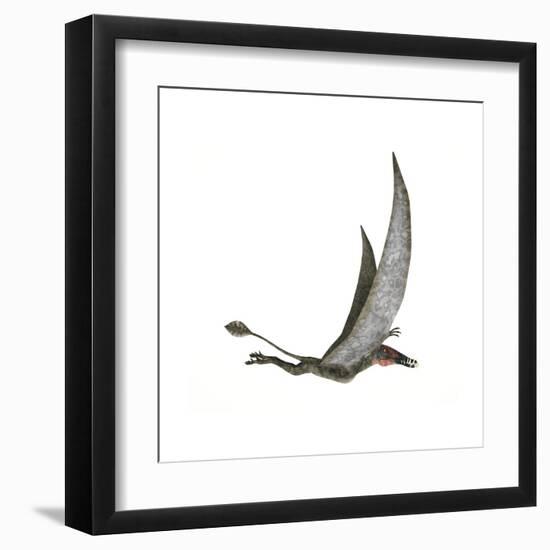 Dorygnathus Flying Dinosaur-null-Framed Art Print