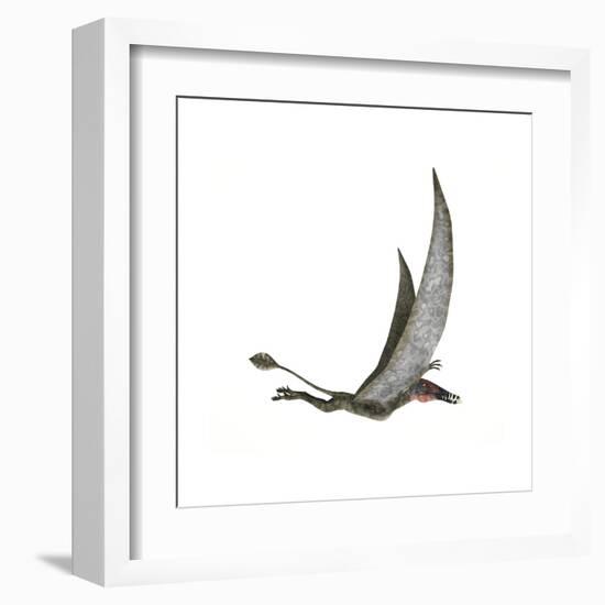 Dorygnathus Flying Dinosaur-null-Framed Art Print