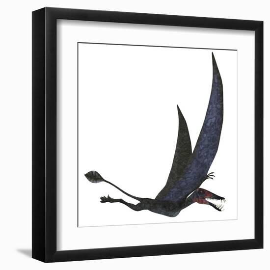 Dorygnathus Pterosaur from the Jurassic Period-Stocktrek Images-Framed Art Print