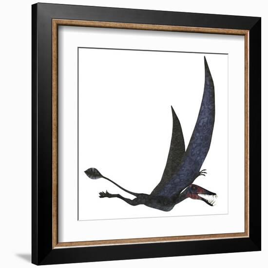 Dorygnathus Pterosaur from the Jurassic Period-Stocktrek Images-Framed Art Print