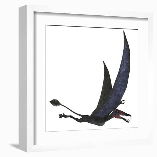 Dorygnathus Pterosaur from the Jurassic Period-Stocktrek Images-Framed Art Print