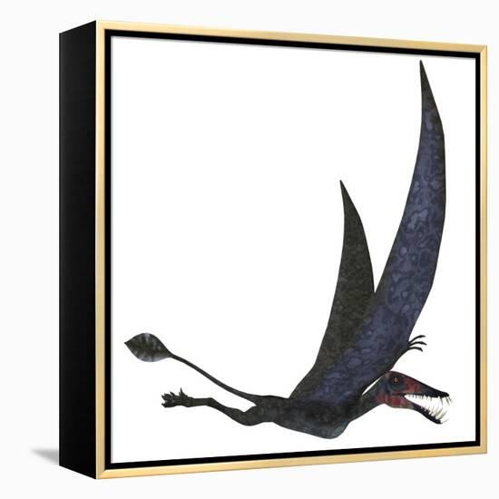 Dorygnathus Pterosaur from the Jurassic Period-Stocktrek Images-Framed Stretched Canvas
