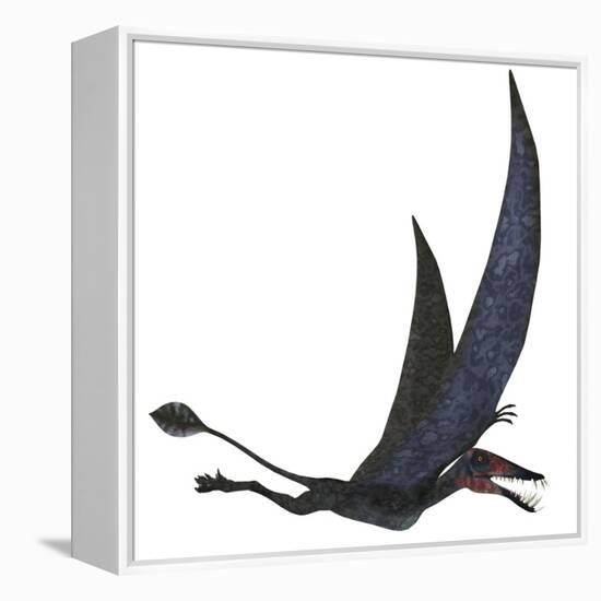 Dorygnathus Pterosaur from the Jurassic Period-Stocktrek Images-Framed Stretched Canvas