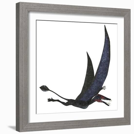 Dorygnathus Pterosaur from the Jurassic Period-Stocktrek Images-Framed Art Print