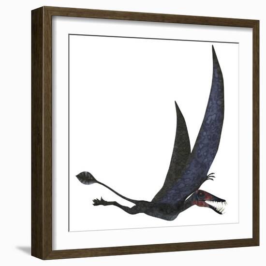 Dorygnathus Pterosaur from the Jurassic Period-Stocktrek Images-Framed Art Print