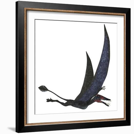 Dorygnathus Pterosaur from the Jurassic Period-Stocktrek Images-Framed Art Print