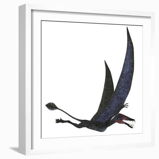 Dorygnathus Pterosaur from the Jurassic Period-Stocktrek Images-Framed Art Print