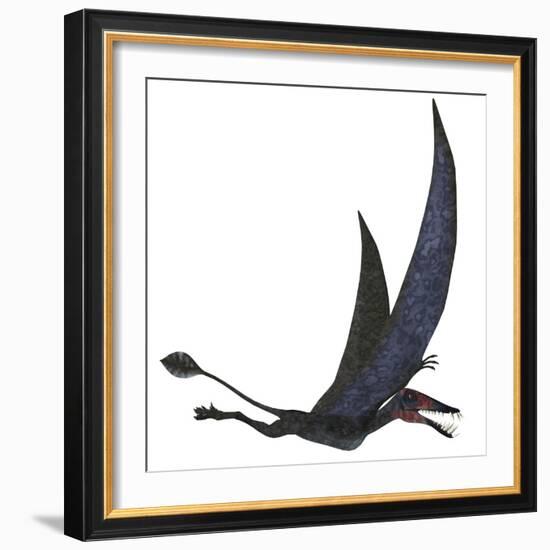 Dorygnathus Pterosaur from the Jurassic Period-Stocktrek Images-Framed Art Print