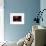 Dots-Heidi Westum-Framed Photographic Print displayed on a wall