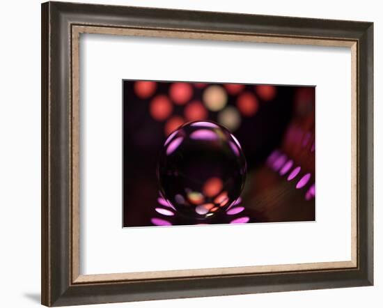 Dots-Heidi Westum-Framed Photographic Print