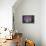 Dots-Octavian Mielu-Framed Stretched Canvas displayed on a wall