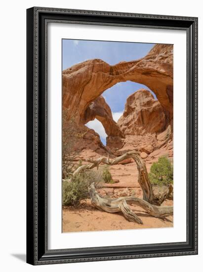 Double Arch, Windows Section, Arches National Park, Utah, United States of America, North America-Gary Cook-Framed Photographic Print