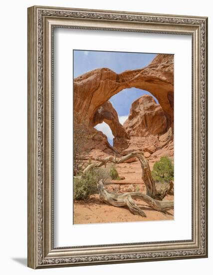 Double Arch, Windows Section, Arches National Park, Utah, United States of America, North America-Gary Cook-Framed Photographic Print