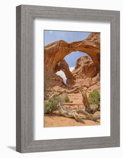 Double Arch, Windows Section, Arches National Park, Utah, United States of America, North America-Gary Cook-Framed Photographic Print