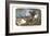 Double-Barreled Breech-Loader-Currier & Ives-Framed Art Print