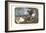 Double-Barreled Breech-Loader-Currier & Ives-Framed Art Print