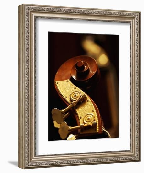 Double Bass Headstock-Yang Liu-Framed Photographic Print