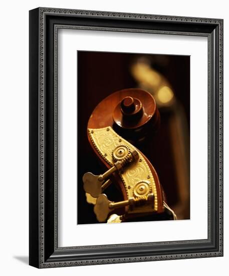 Double Bass Headstock-Yang Liu-Framed Photographic Print