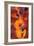 Double Bass, Triple Head-Gil Mayers-Framed Giclee Print