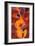 Double Bass, Triple Head-Gil Mayers-Framed Giclee Print