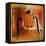 Double Bass-lachris77-Framed Premier Image Canvas